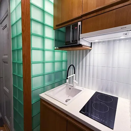 Apartment Design Near Center *